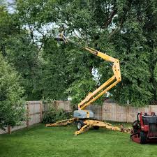 Best Hazardous Tree Removal  in Steelevle, IL